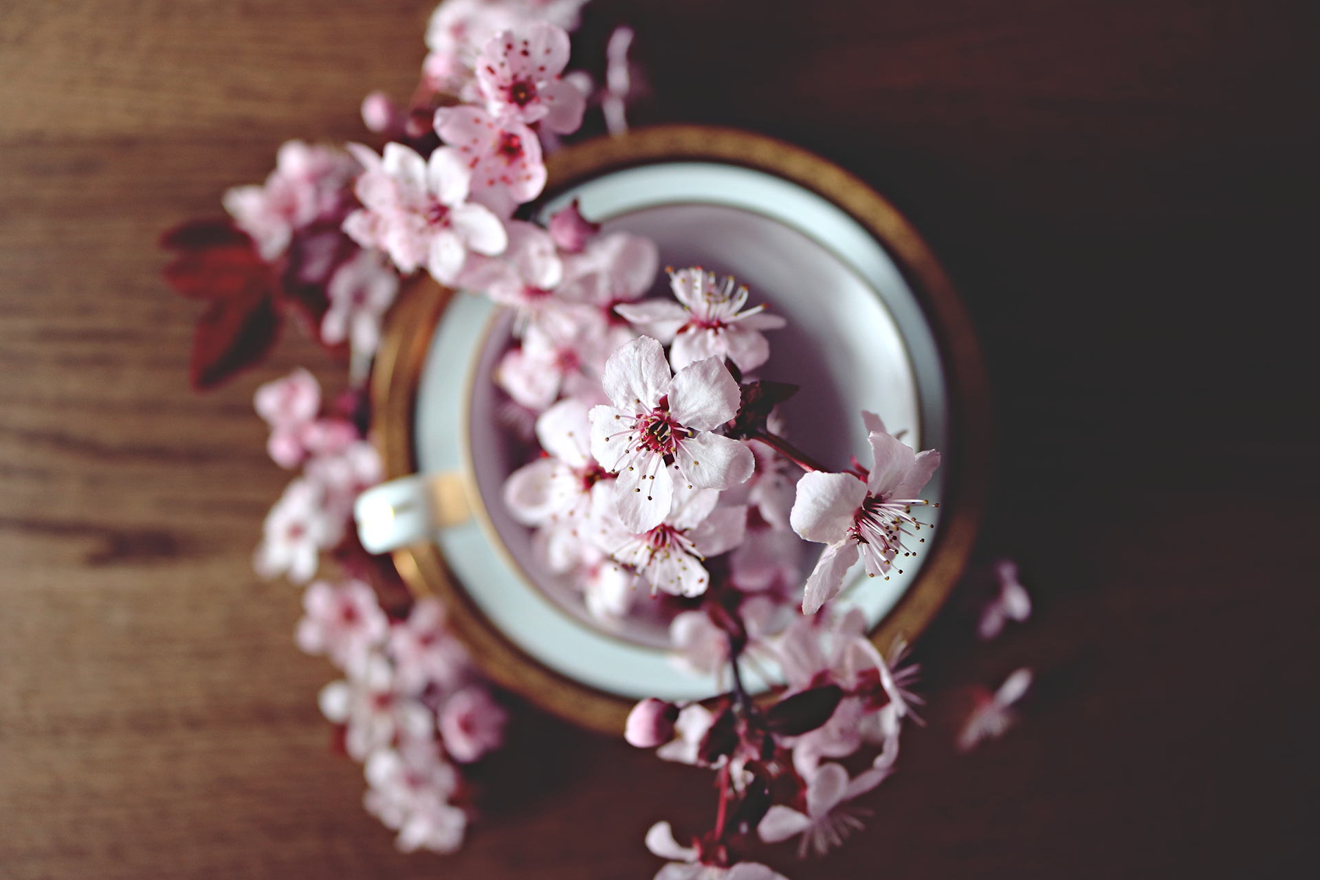 page-header