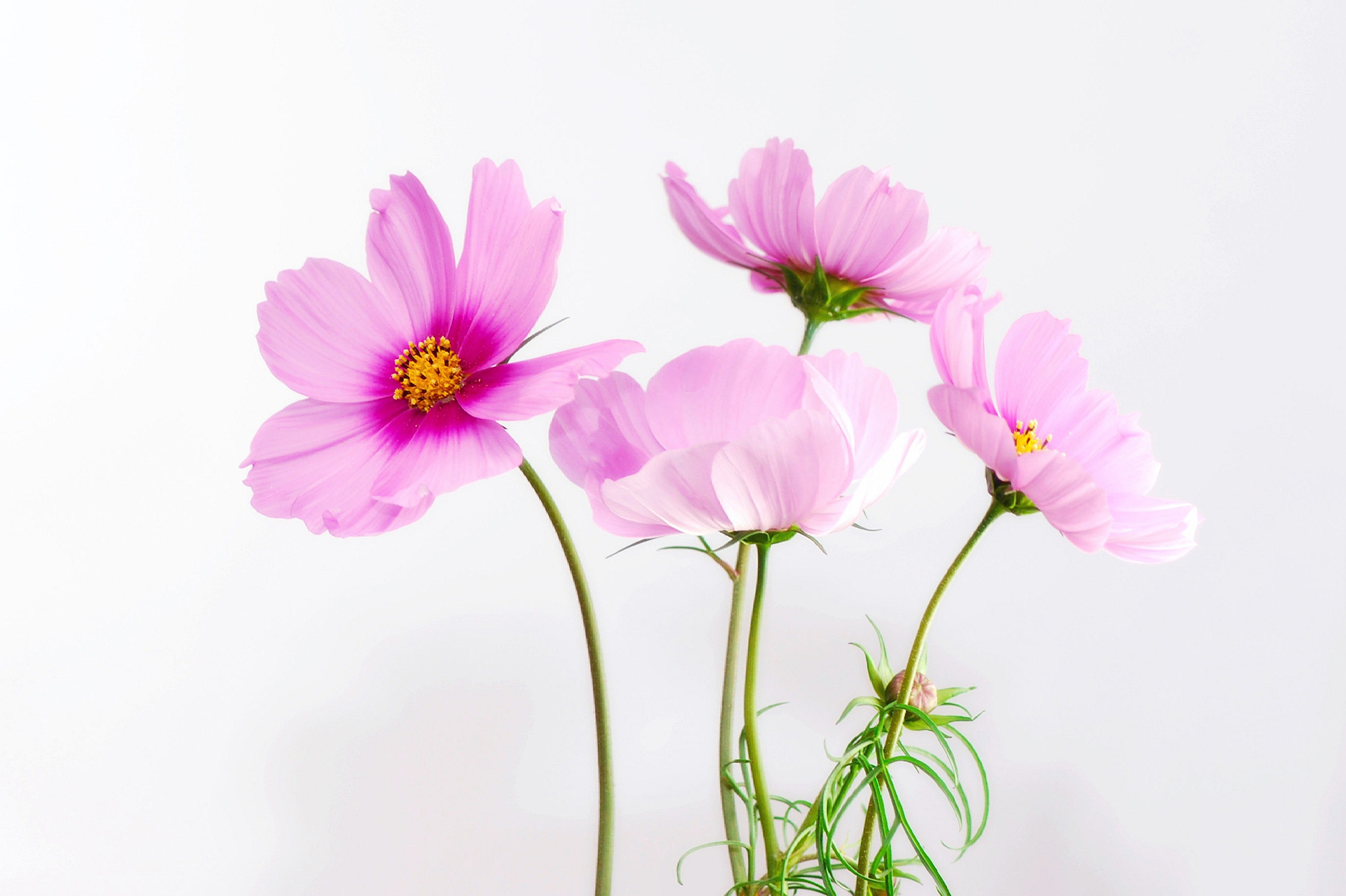 page-header